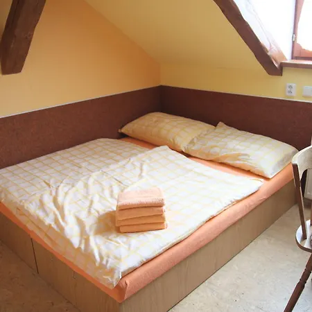 Guest house Crazy 3*