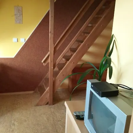 Guest house Crazy 3*