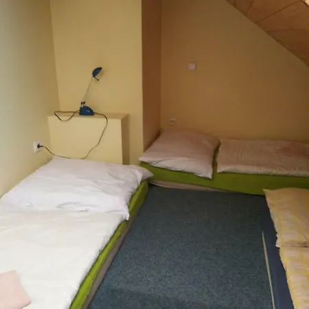 Guest house Crazy 3*